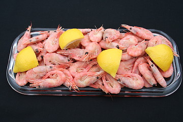 Image showing Shrimps