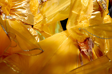 Image showing Carnival costume detail