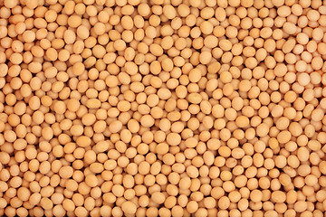 Image showing Soya Beans