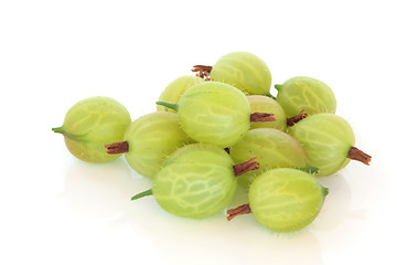 Image showing Gooseberry Fruit