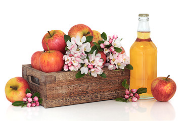 Image showing Cider, Apples and Flower Blossom 