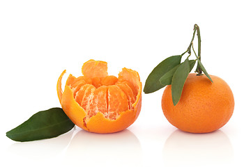 Image showing Tangerine Fruit with Leaf Sprig