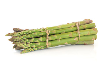 Image showing Asparagus