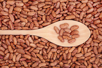 Image showing Pinto Beans