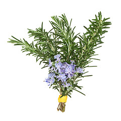 Image showing Rosemary Herb Flowers