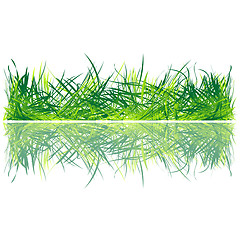 Image showing Fresh grass