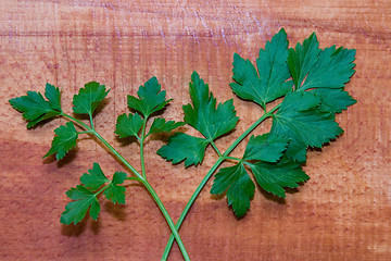 Image showing Parsley and celery