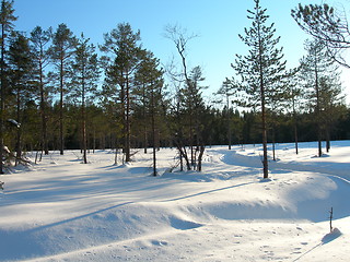 Image showing Winter