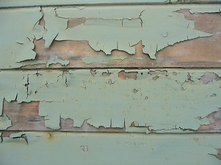 Image showing Cracked paint