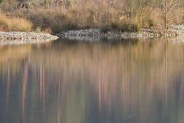 Image showing Lake shore