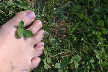 Image showing foot and clover