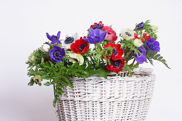 Image showing Basket with anemones