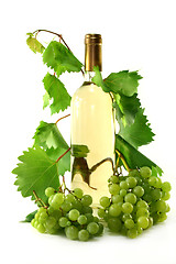 Image showing White wine