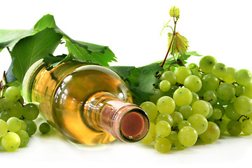 Image showing White wine