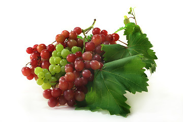 Image showing Grapes