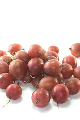 Image showing Gooseberries