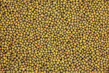 Image showing Mung Beans