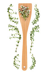 Image showing Thyme Herb 