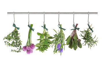 Image showing Herbs Hanging and Drying