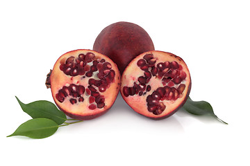 Image showing Pomegranate Fruit