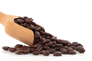 Image showing Coffee Beans