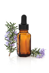 Image showing Rosemary Herbal Therapy