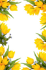 Image showing Spring Flower Frame 