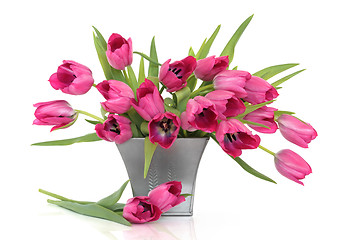 Image showing Pink Tulip Flowers