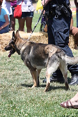 Image showing German Shepherd and a Policeman