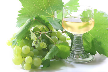 Image showing a glass of white wine