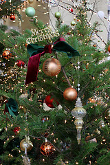 Image showing Christmas tree