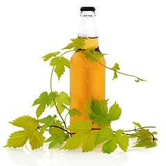 Image showing Beer Bottle and Hop Leaves