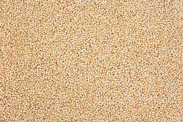 Image showing  Quinoa Cereal Grains