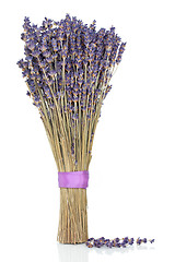 Image showing Lavender Herb Flowers