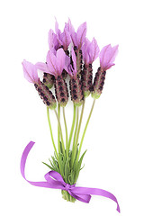 Image showing Lavender Herb Flower Posy