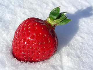 Image showing strawberry in snow