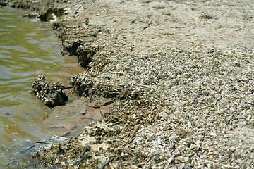 Image showing sand beach