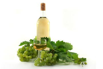 Image showing White wine