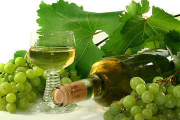 Image showing White wine