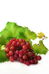 Image showing Grapes