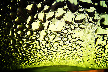 Image showing Green drops of water - light from backside. Macro