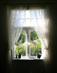Image showing Summer window