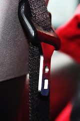 Image showing seatbelt