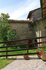 Image showing Typical Italian vineyard