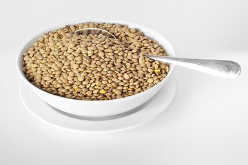 Image showing lentil