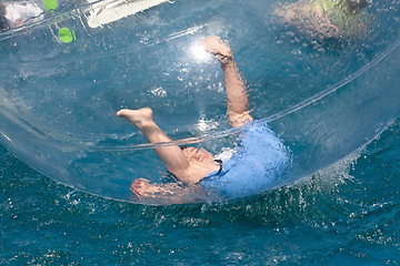 Image showing Joyful aqua zorbing