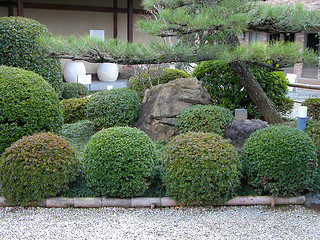 Image showing Japanese Garden Close-up