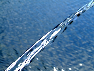 Image showing Diagonal water currant