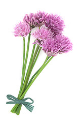 Image showing Chives Herb