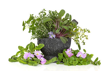 Image showing Herb Leaf and Flower Selection